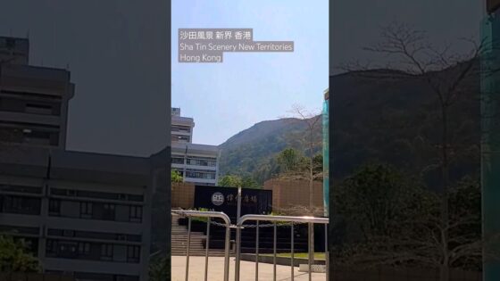 沙田風景 新界 香港 Sha Tin Scenery New Territories Hong Kong | 香港恒生大學 | Hang Seng University of Hong Kong